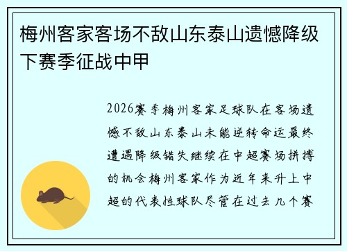 梅州客家客场不敌山东泰山遗憾降级下赛季征战中甲